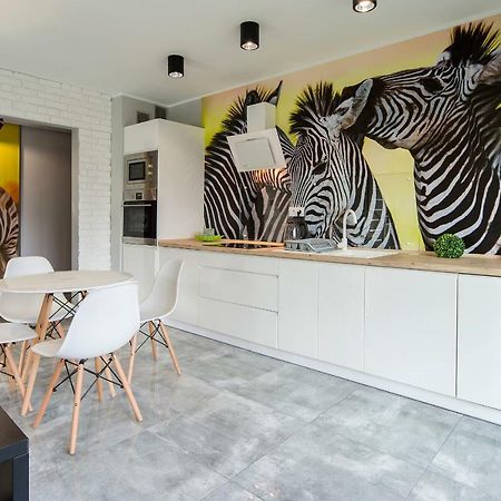 Apartament Sun & Ski Willa K2 Black & White 卡尔帕奇 外观 照片